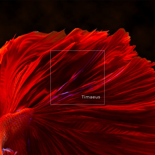 国产无限免费AV在线播放
