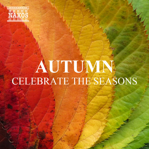 国产无限免费AV在线播放
